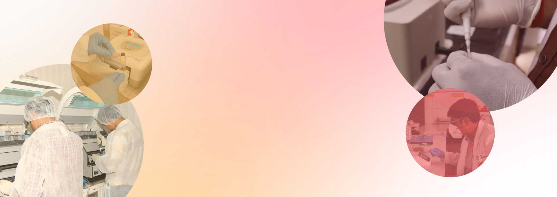Banner Desktop